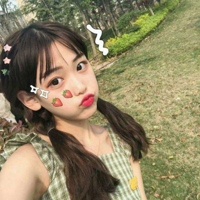 透光的树 封面
